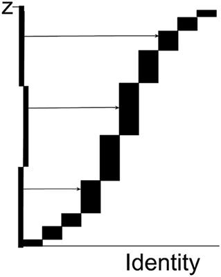 The Automatic Proportionator Estimator Is Highly Efficient for Estimation of Total Number of Sparse Cell Populations